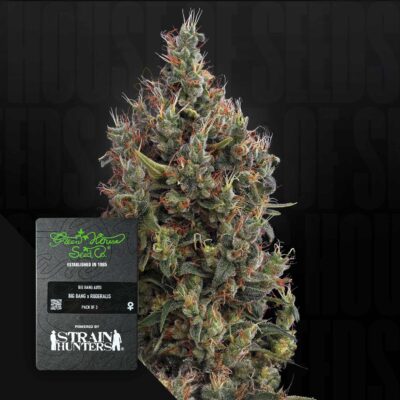 Big Bang Auto - House of Seeds