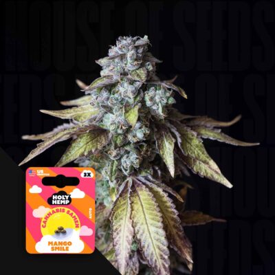 Mango Smile - House of Seeds