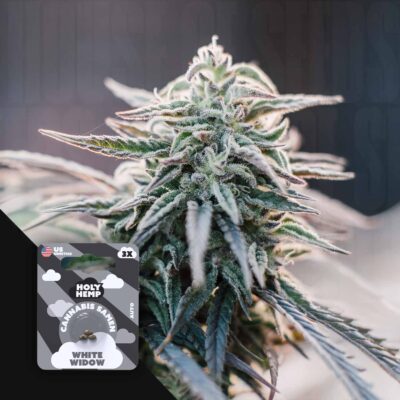 White Widow - House of Seeds