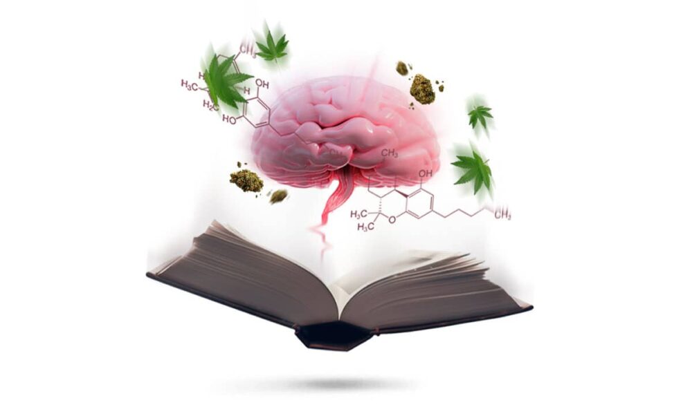 Wissens und Blogarchiv